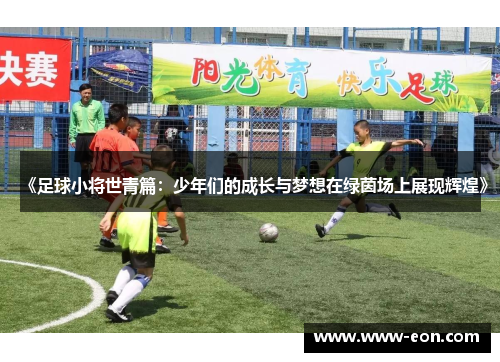 《足球小将世青篇：少年们的成长与梦想在绿茵场上展现辉煌》