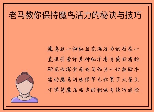 老马教你保持魔鸟活力的秘诀与技巧